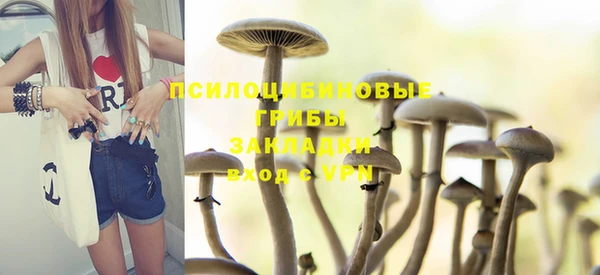 jwh Ельня