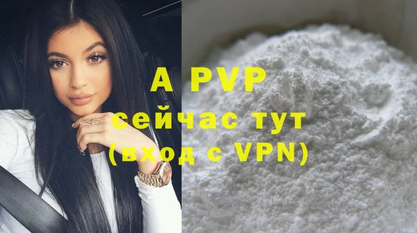 бошки Елабуга