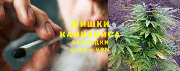 Альфа ПВП Дмитриев