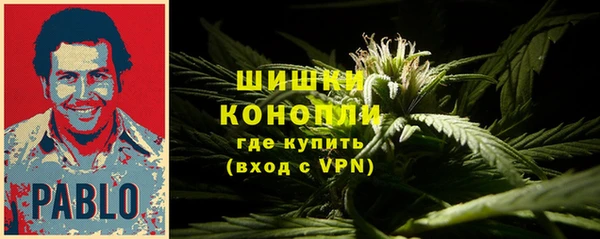 трава Дмитров