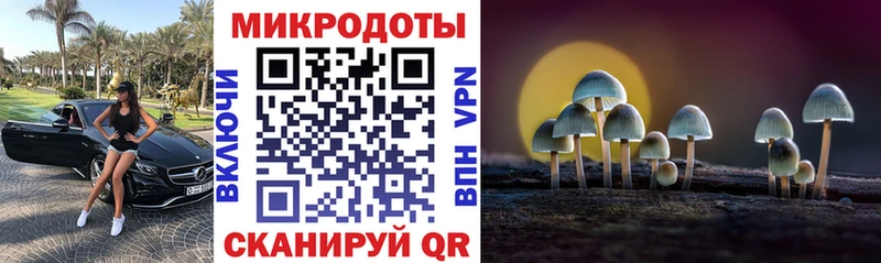 Купить закладки  Кологрив  Псилоцибиновые грибы Psilocybe 